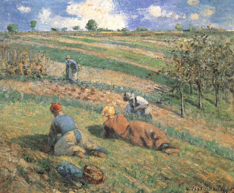 Camille Pissarro Field work china oil painting image